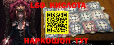 MDMA Ярославль